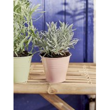 Available from 21 March 2024_Garden and summer cottage novelties from Sostrene Grene (66).jpg